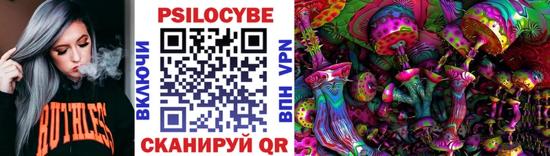 Галлюциногенные грибы Cubensis  Белозерск 